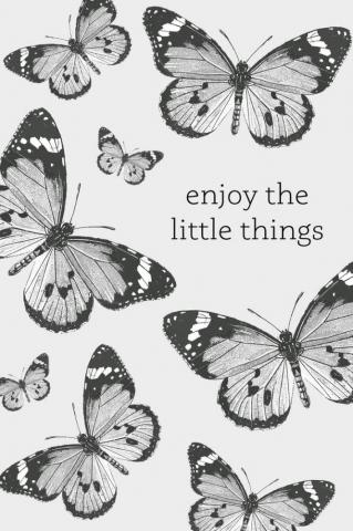 Butterfly Wallpaper Inspirational