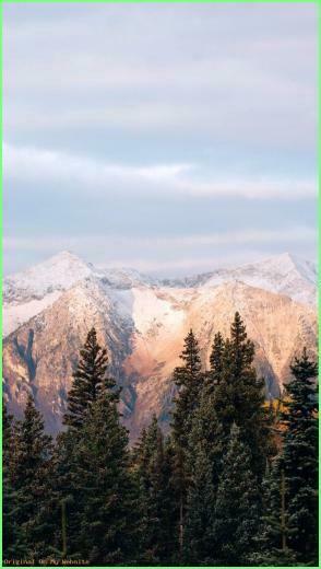 Hintergrundbilder iPhone Wallpaper W Ste Palmen Fernweh