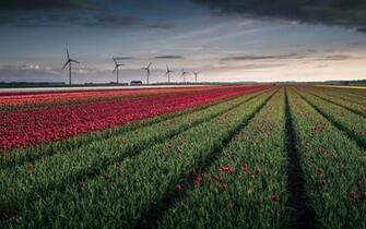 Wind Turbine HD Wallpaper Background Image Id