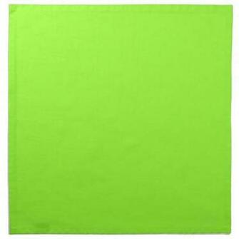 Related Pictures Plain Green Background Background Professional