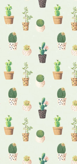 Cactus iPhone Wallpaper