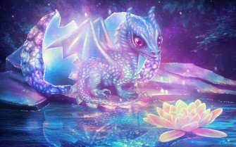 Dragon HD Wallpaper
