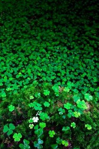 iPhone Wallpaper St Patrick S Day Tjn