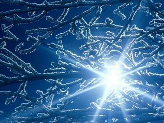 Pics Photos Funny Winter Desktop HD Wallpaper Fun