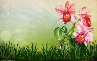 Orchid Wallpaper By Tiger Tyger