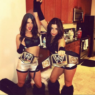 Pin Bella Twins HD Wallpaper Picture