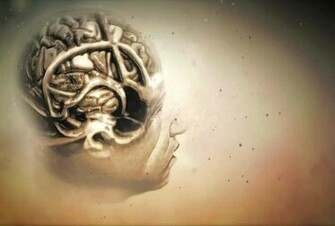 3d Brain Wallpaper HD 1080p Desktop Background