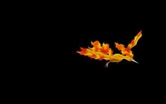 Moltres Wallpaper