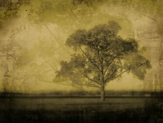 Romantic Photes