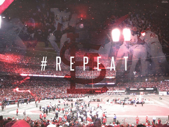 St Louis Cardinal Wallpaper Cardinals Repeat