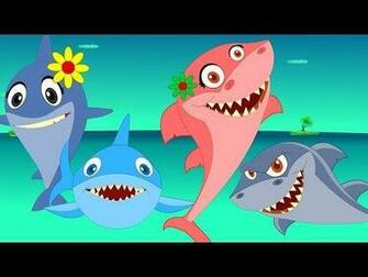 Sharks Children And Animals