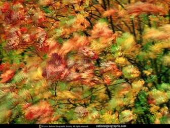 Of The Day Picture Photography Wallpaper National Geographic
