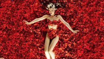 American Beauty Desktop Wallpaper Moviemania