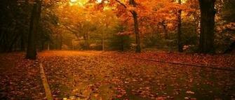 Fall Harvest Desktop Wallpaper 3d Abstract