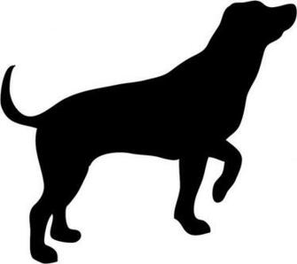 Dog Silhouette Hunting Jpg