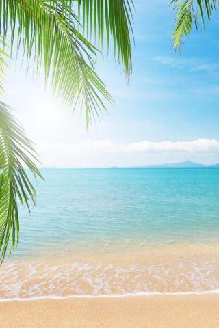 Wallpaper Clear On