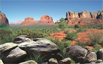 Arizona Desert Aquarium Fish Tank Background 60cm H Multiple Lengths