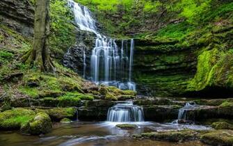 Waterfall Nature Forest Wallpaper HD Desktop And Mobile