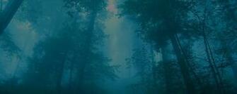 Blueforest Wallpaper Epic