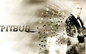 Pitbull Rapper HD Wallpaper