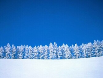The Snow Wallpaper Desktopwallpaper Desktop Background