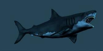 Wallpaper Desktop Megalodon Shark Sharks