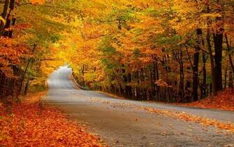 Autumn Forest Street Wallpaper