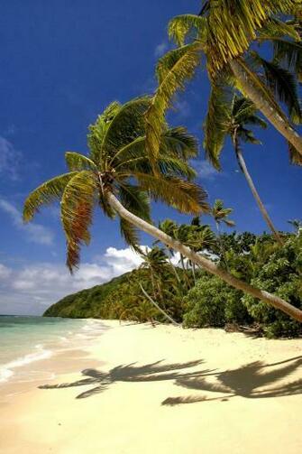 Wallpaper Beauty Of Nature Tavanipupu Private Island Resort Is A