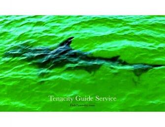 Tenacity Lands Cover Of Local Magazine