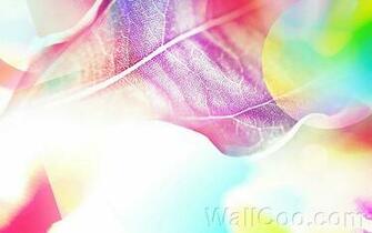 Background The Colours Of Rainbow Sunshine