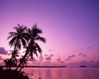 Wallpaper Background Pink Sunset Pixel