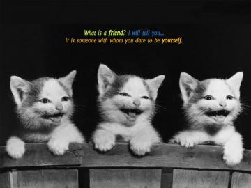 Friendship Wallpaper Cards Pictures And Friends