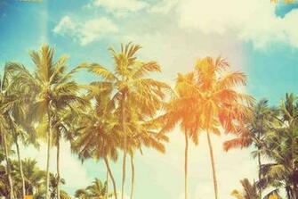 Wallpaper Palm Tree Android Apps On Google Play