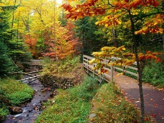 Fall Into Fitness Fit Enterprises