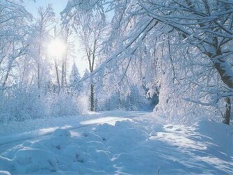 Celebrity Beautiful Snowfall Wallpaper For Desktop Background