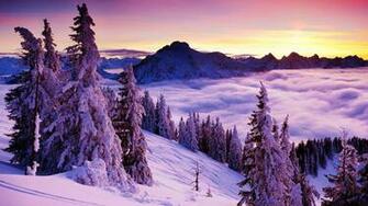 Beautiful Winter Landscape Wallpaper Cool HD Food