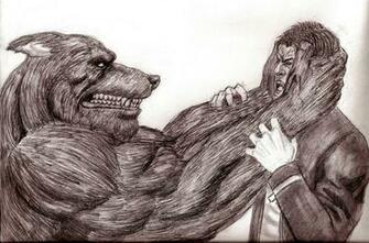 Werewolf Vs Vampire Wallpaper By