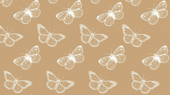 And Customizable Spring Desktop Wallpaper Templates