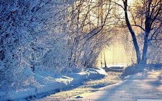 Cool Winter Background Superb Wallpaper