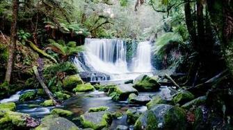 Botpost Lady Barron Falls Mt Field National Park Tasmania I
