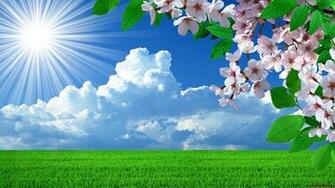 Spring Field Cherry Blosom HD Wallpaper
