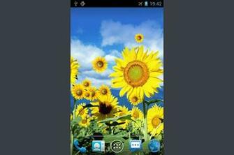 The Program Sunflower Live Wallpaper For Android