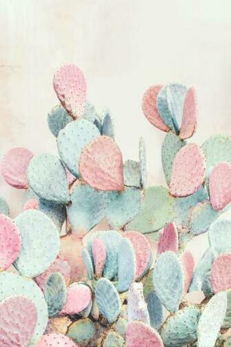 Nicholas Scarpinato Nature Enhanced Trends And Vibes