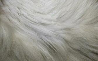 White Fur Vape Skin For Joyetech Ego One Mah