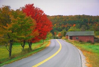 Every Thing HD Wallpaper The World Most Beautiful Ever Roads Photos