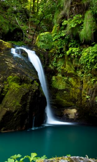 Waterfalls In The Jungle HD Live Wallpaper For