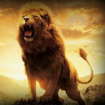 Roaring Lion Wallpaper Best Cars Res