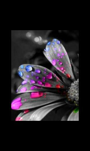3d Wallpaper For Mobile Touch Screen Hvgj