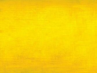 Bright Plain Yellow Background Image HD Wallpaper Wallfoy