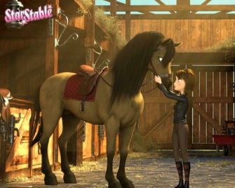 Star Stable Wallpaper